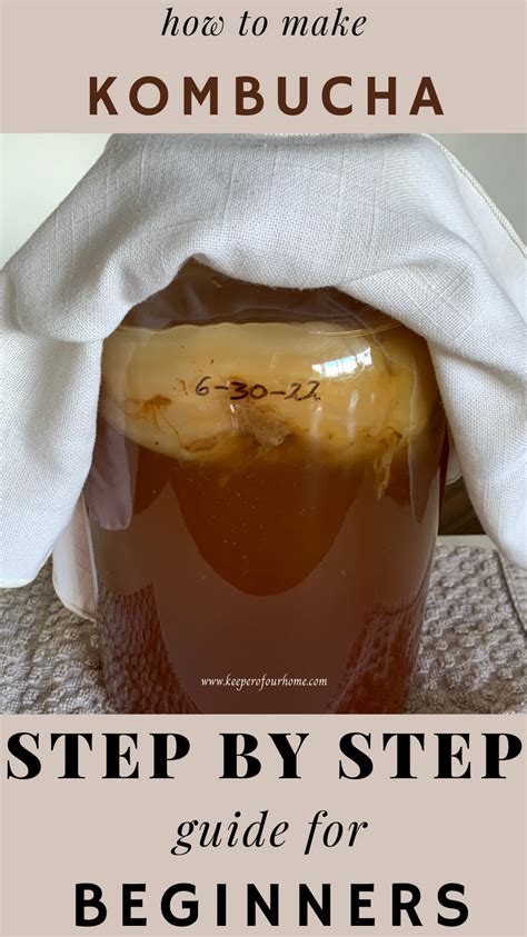 How to Make Kombucha at Home: A Beginners Guide 